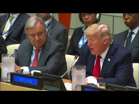 Trump: ”FN har inte nått sin fulla potential”