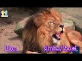 Animal Sounds In Kannada Kannada English Animal Names For Kids Learn Kannada Learnkannadawords