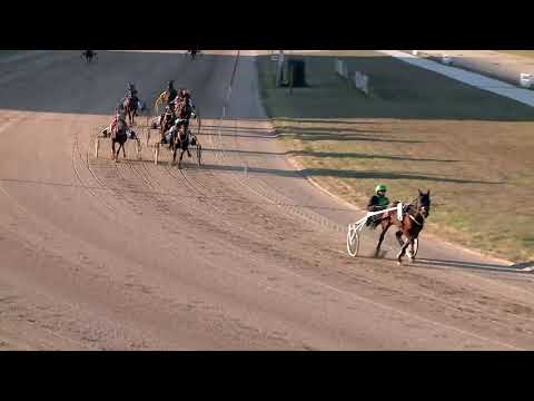 2019.12.26. 02. futam - ELEFÁNT DÍJ