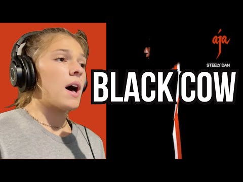 Black Cow (Steely Dan) High School Cover | Low Darts