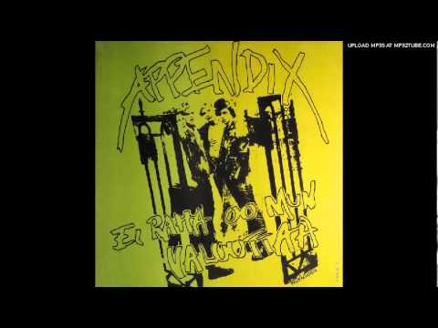 Appendix - Ei Raha Oo Mun Valuuttaa