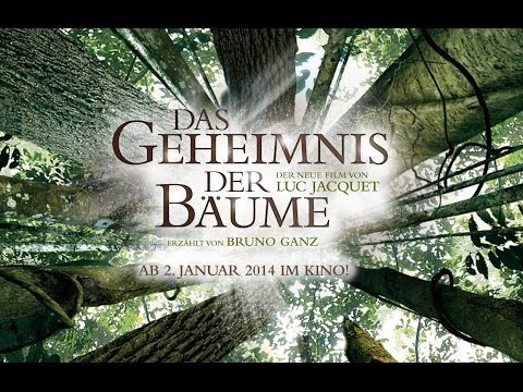 Trailer Das Geheimnis der Bäume