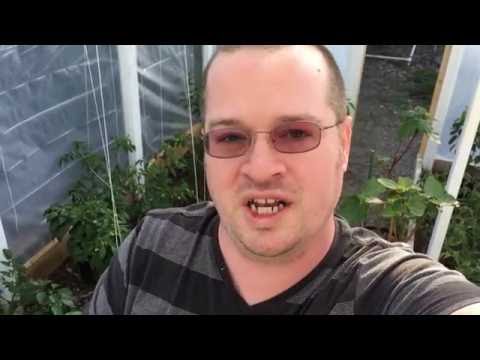 download lagu mp3 mp4 Smart Ground Cover, download lagu Smart Ground Cover gratis, unduh video klip Smart Ground Cover