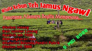 Download lagu Wisata Kebun Teh Jamus Ngawi Terbaru mp3