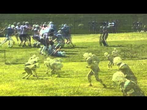 Sofia Bears vs Bor Golden Bears Highlights 04.17.2016