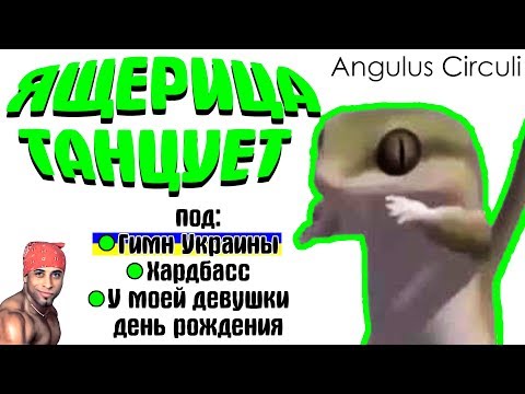 Ящерица танцует 1 час под разную музыку