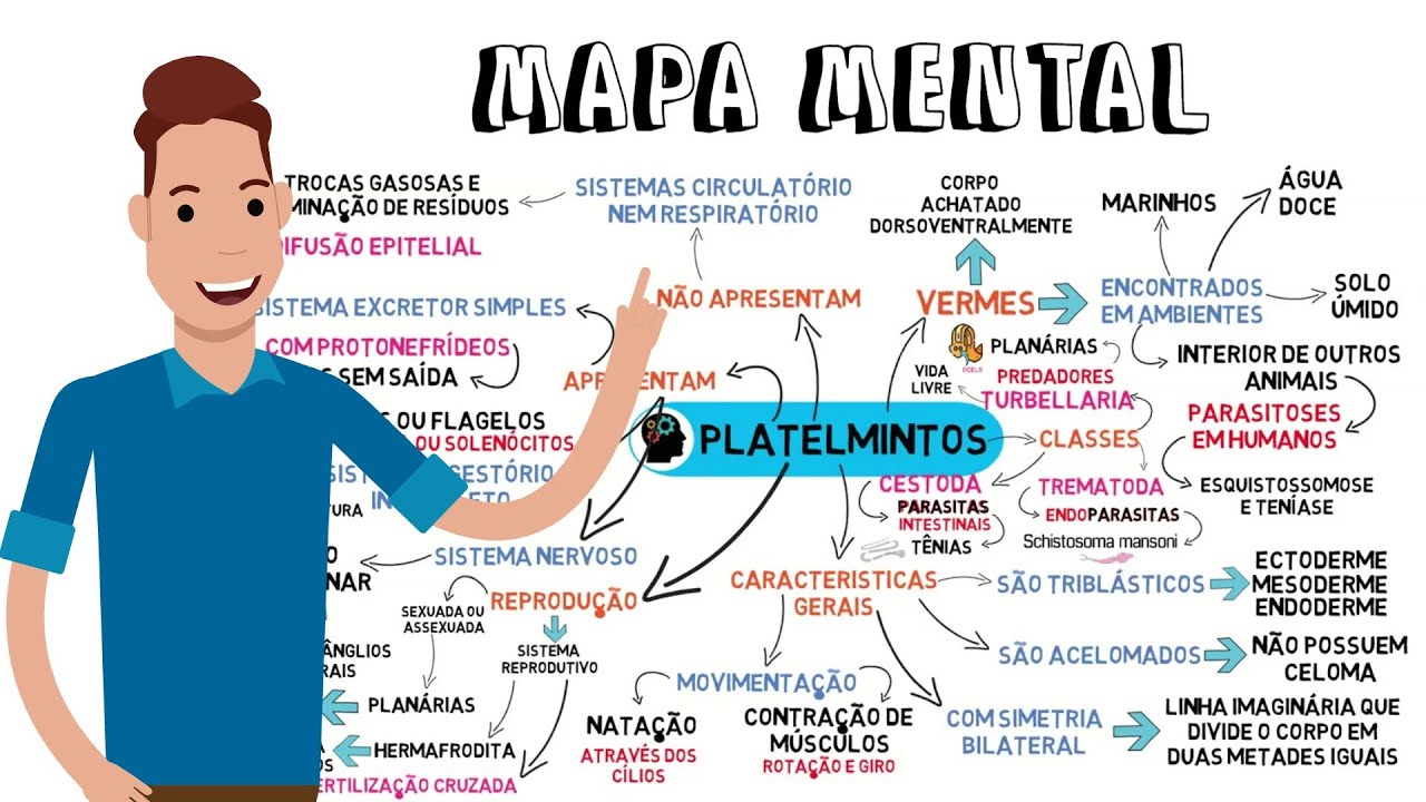 MAPA MENTAL - PLATELMINTOS
