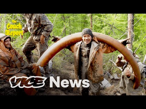 Why Scientists Want To Resurrect the Woolly Mammoth