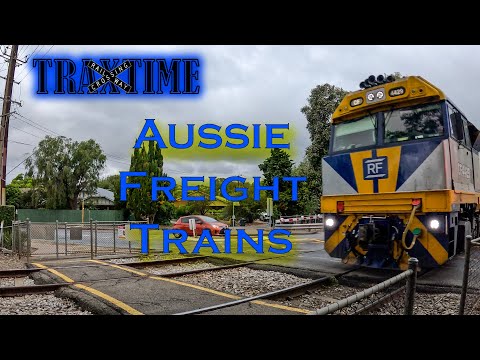 Aussie Freight Trains - CF4429 SCT004 SCT002 CSR010 into Adelaide | RLX0543 Australian Trains