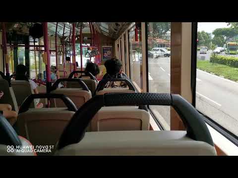 SBS Transit Scania K230UB Euro V Gemilang SBS5229B On Service 116