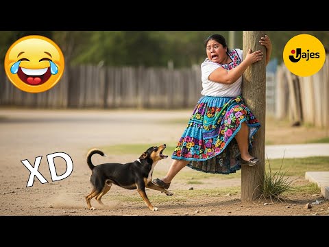 SI TE RÍES PIERDES NIVEL DIOS # 141🤣 VIDEOS DE RISA MUY GRACIOSOS 2025 🤣