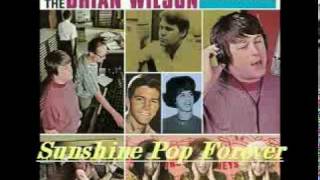 Brian Wilson Projects - Falling In Love