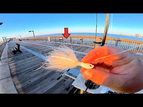 Fishing a JIG! from this GULF Pier and Caught my LUNCH!...[Catch, Clean, Cook]
