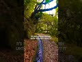 PRAY UNTIL SOMETHING HAPPEN Shorts Youtube Foryou Pray