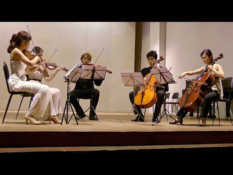 Peter Seabourne - String Quintet (Mainzer Virtuosi / Casalmaggiore Festival)