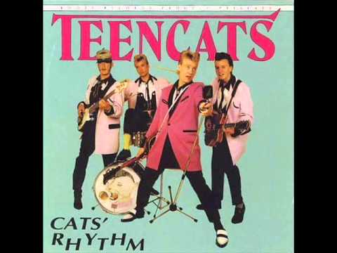Teencats -  'Cause I'm a Teddyboy.wmv