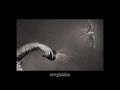puracane | i need to leave [türkçe çeviri]