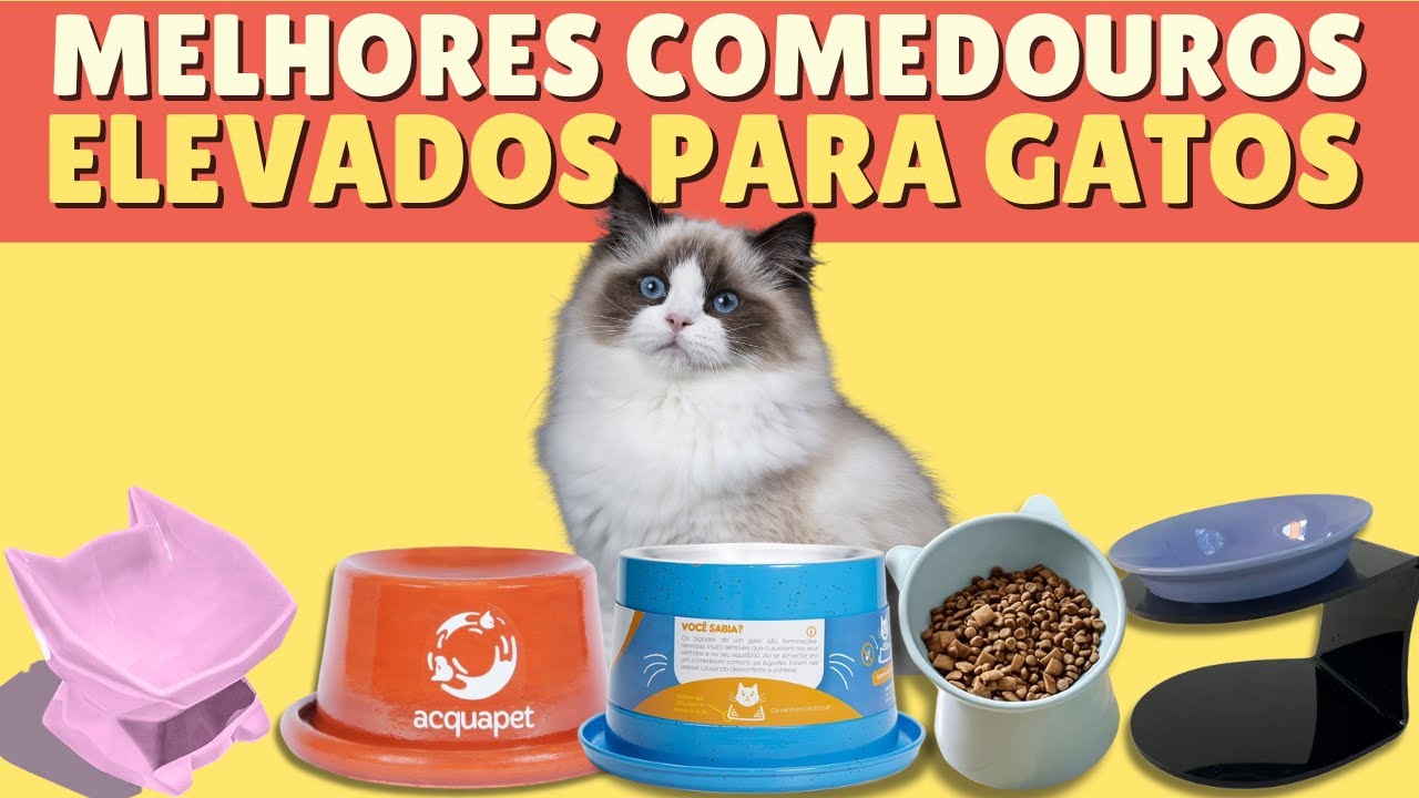 9 Melhores Comedouros Elevados Para Gatos! Descubra Por Que Valem Cada Centavo