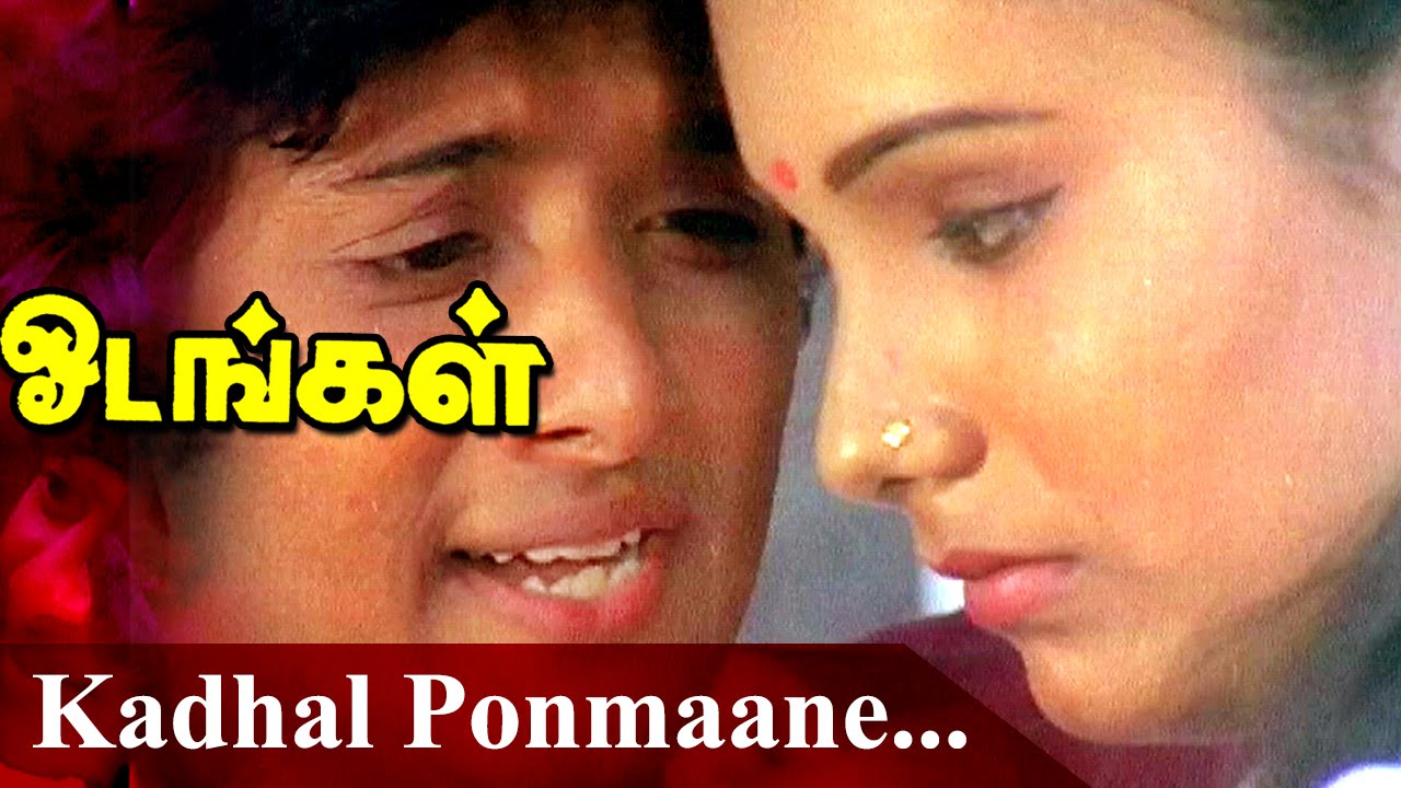 Kadhal Pon Maane Song Lyrics | Odangal