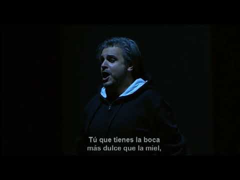 Don Giovanni - Deh vieni alla finestra - NAHUEL DI PIERRO