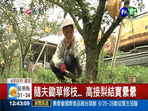 陸配嫁來台務農 結出甜美"果實"!
