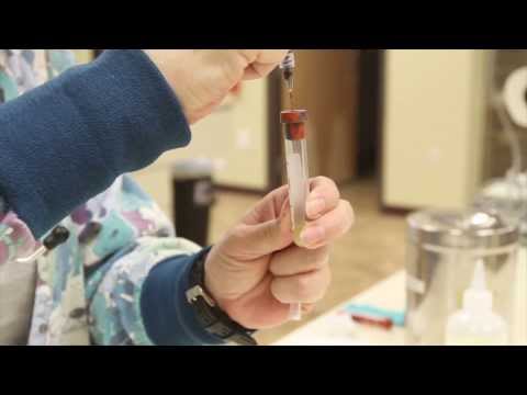 Dr. Sara May, Allergy and Immunology