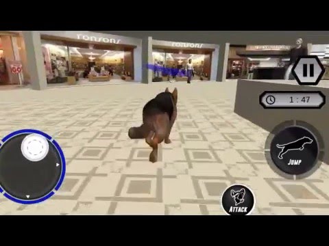 Police Dog vs Street Criminals Video