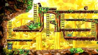 Time Travel Can Be Bad - Braid Part 3