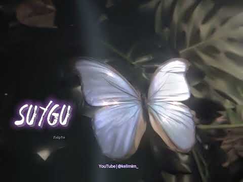 ✨suygu(ZulpYe)✨