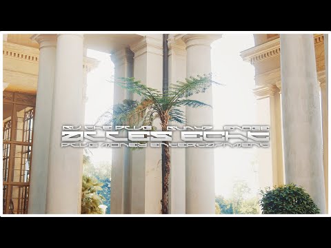 Alles Echt - Enoge x Bu The Plug x BvN47 | PLUG MONEY ENTERTAINMENT