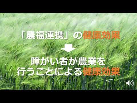 食物栄養学科 1ユニバーサル農園、農福連携が持つ「力」とその「未来」