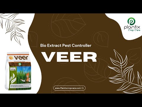 Thiamethoxam 1.0% Chlorantraniliprole 0.5% GR A Bio Extract Pest Controller