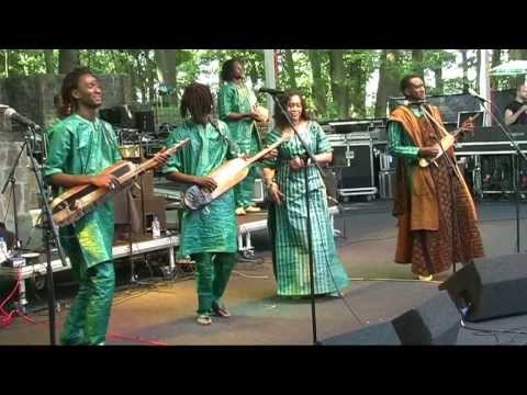 Bassekou Kouyaté - N - LIVE at Afrikafestival Hertme 2013