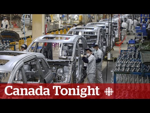 Government push for EV investment is a bad move, says expert | Canada Tonight