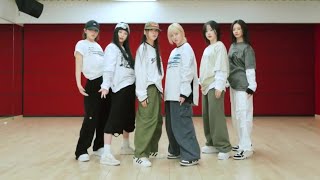 [NMIXX - Run For Roses] dance practice mirrored