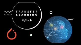 Transfer Learning with PyTorch