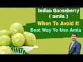 Best Way To Take Amla Juice For Good Results Avoid Amla If You Have These Problems