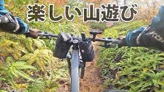 マウンテンバイクには最高の季節ですなぁ～ CANYON NEURON AL7
