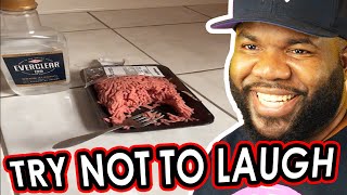 The Funniest videos of the Week! NemRaps Try Not To laugh 384