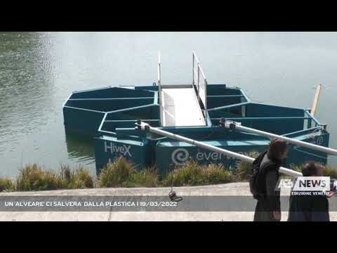 UN 'ALVEARE' CI SALVERA' DALLA PLASTICA | 19/03/2022