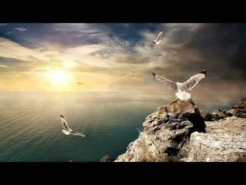 AkaSero and AkaSero999