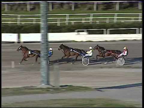 Trotto 30/12/2014 - 1° prova di riqualifica