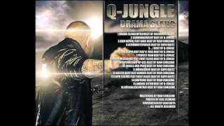 Q-JUNGLE - Rückblick ( beat by RAW CORLEONE)