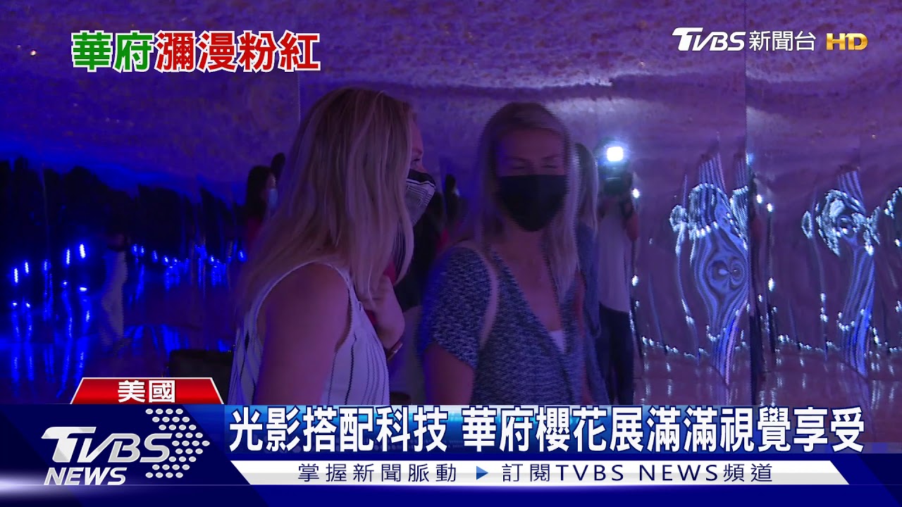 夏天看一樣美! 數位科技讓華府櫻花盛開