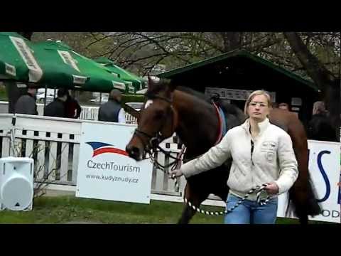 Velká Chuchle 22.4.2012 - Robinson po dostihu