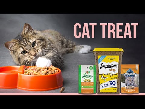 6 Best Cat Treats | Best Natural Cat Treats