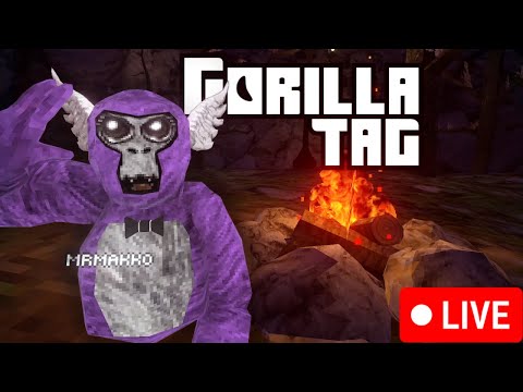 Gorilla Tag With viewers!!!!!!!!!MAKKO YAPS!!!!!!!!!!