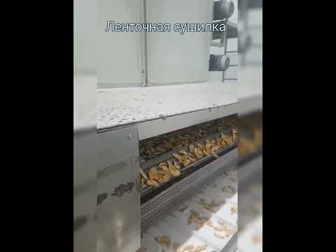 Ленточная сушилка