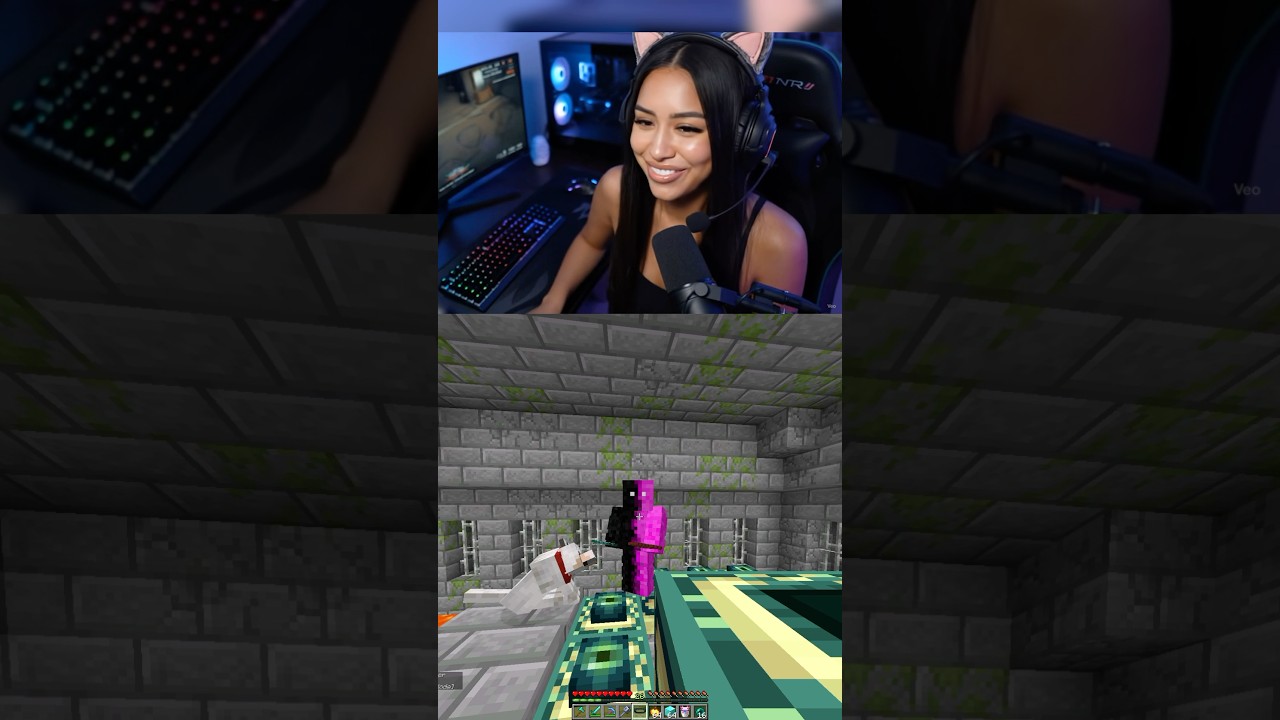 Minecraft meme