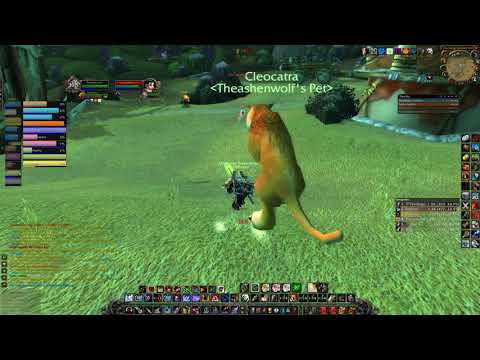 World Of Warcraft | Warsong Gulch Defense (Hunter PvP)